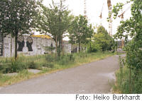 Berliner Mauer, Parlament der Bume